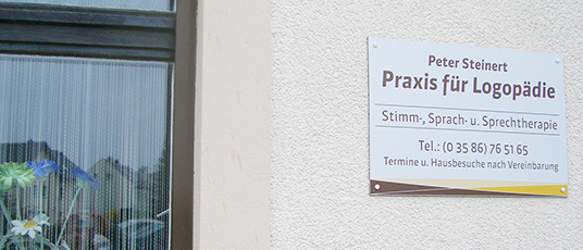 Logopäde für Stimmtherapien